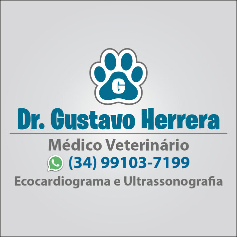 Logotipo Profissional